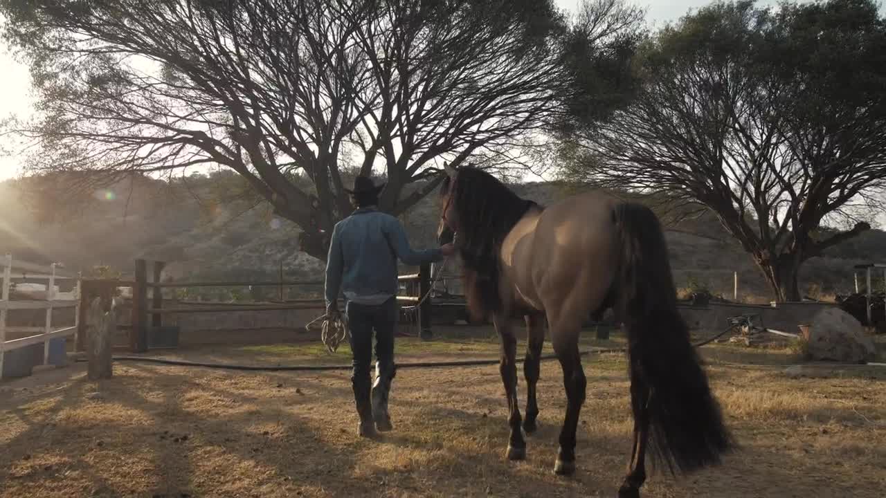 A rancher and horse at a ranch