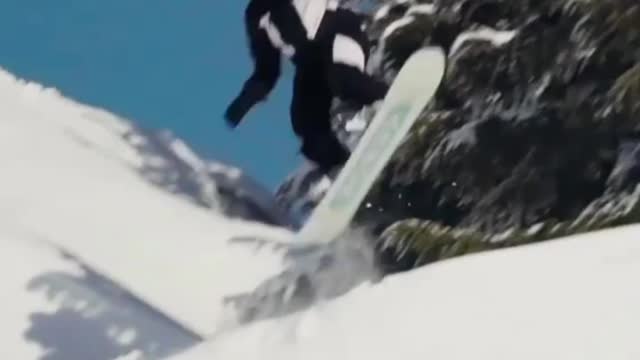 ski master