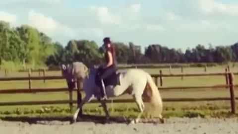 Cute And funny horse Videos Compilation cute moment of the horses - Cutest Horse #12