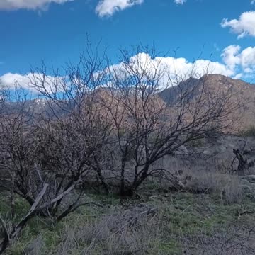 VISITING CATALINA STATE PARK IN ARIZONA!