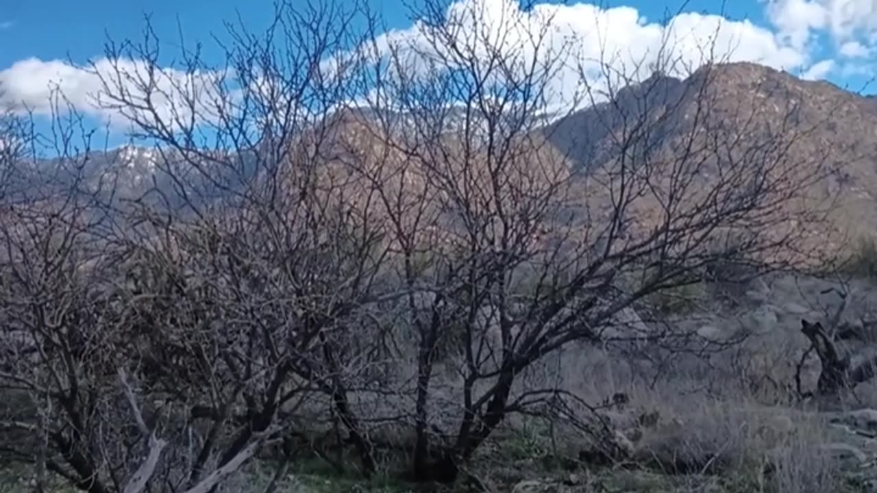 VISITING CATALINA STATE PARK IN ARIZONA!