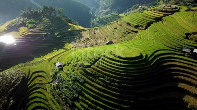 Aerial view rice field Terrereas panoramic Hillside white rice framing mountains station (2022)