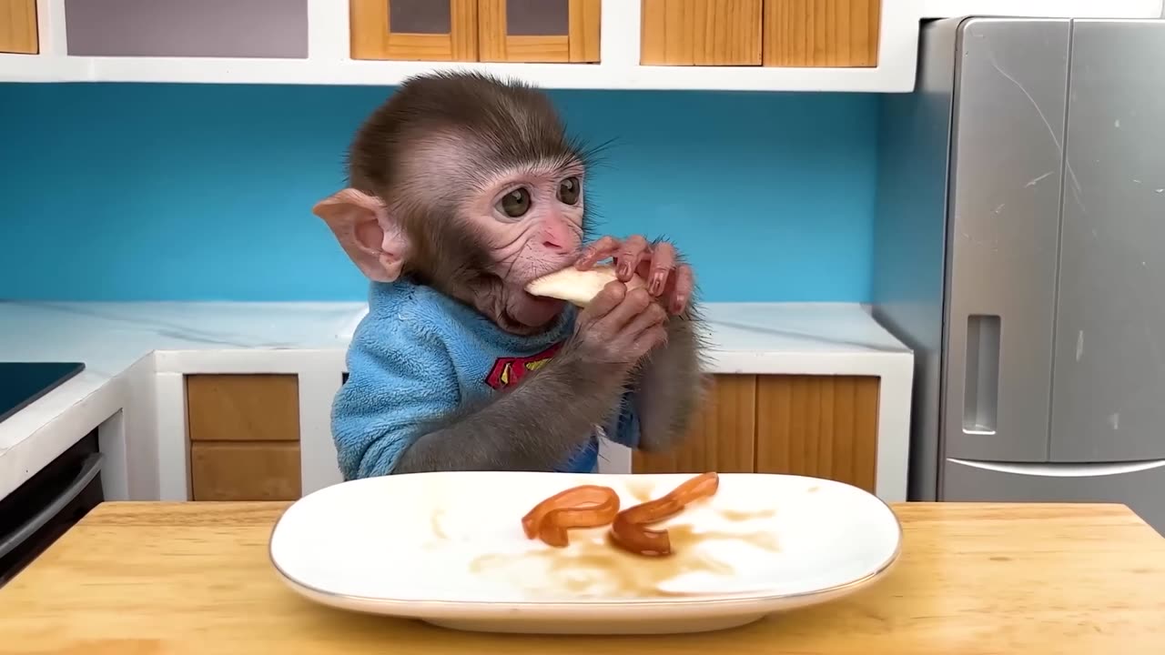 Monkey Baby Bon Bon pretend to be a cashier in a supermarket and eats watermelon with puppy