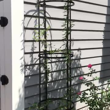 2 Storage ADUs - East Coast ADU