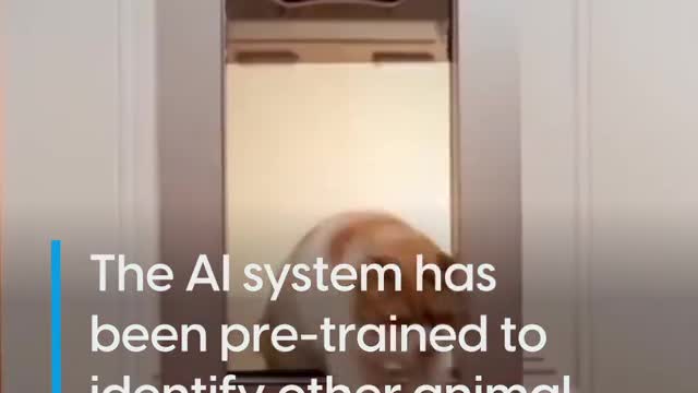 This smart pet door uses facial recognition!