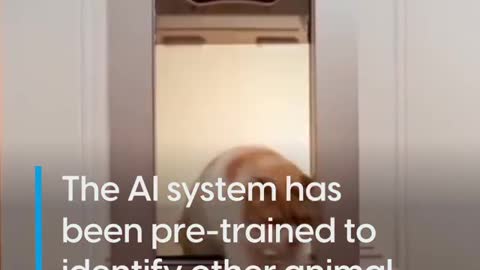 This smart pet door uses facial recognition!