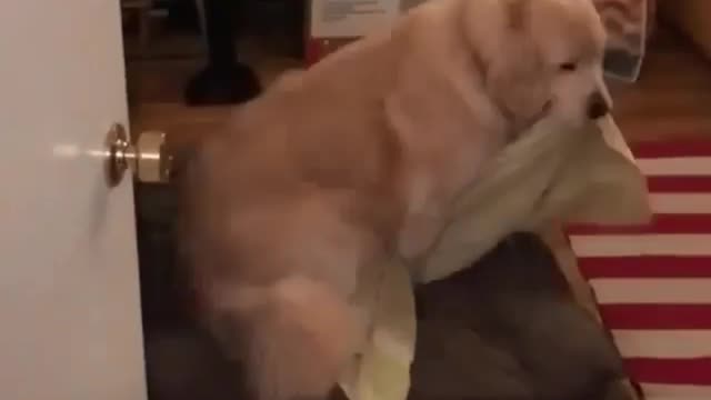 Take a quilt and sleep