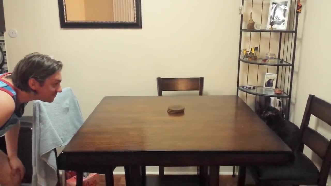 Cat Loves To Play Peek-A-Boo With Her Owner