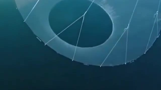 This is a beautiful and charming water-dwelling species