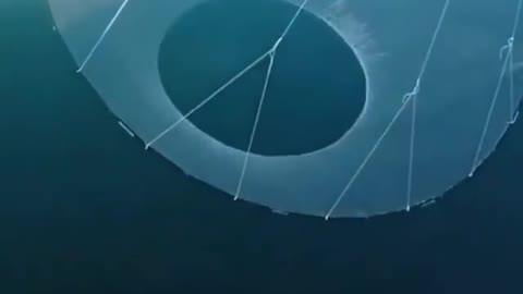 This is a beautiful and charming water-dwelling species