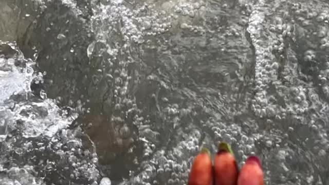 Cute girl having fun in the river