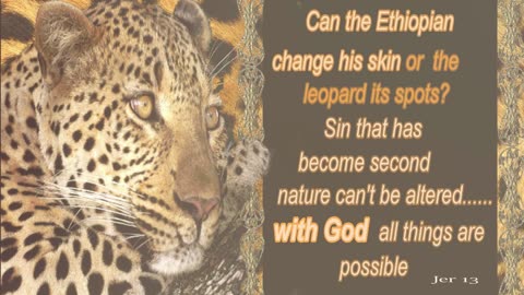 Scripture Meditation ] The Leopard