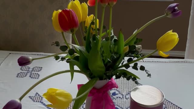 Spring Fresh Tulips