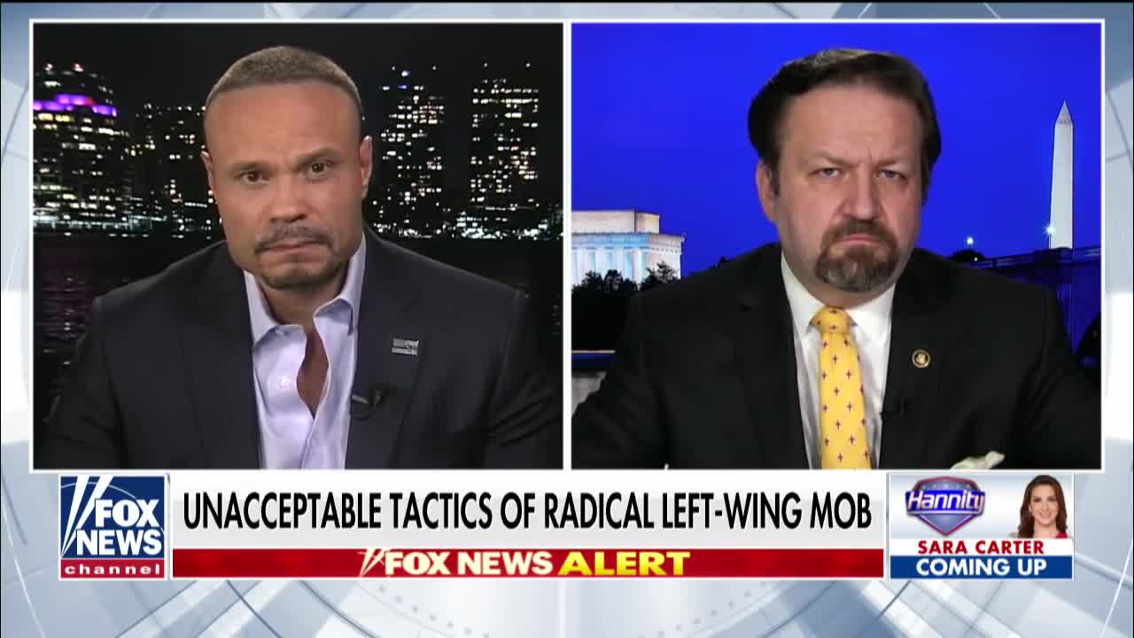 Dan Bongino says the left needs to draw a red line