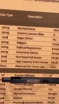 What's on Your QR Code?