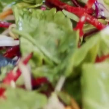 From Seed to Sprout Growing Chia for a Green Thumb