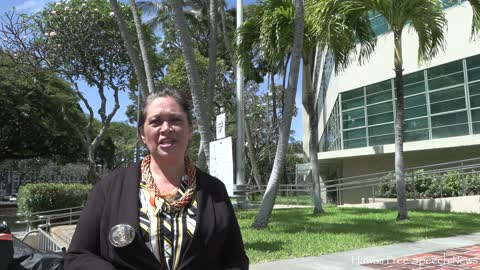 596 More explanation on Affidavits served at HIDOE
