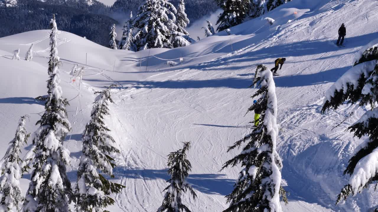 People skiing on a snowy slope, with pine trees around covered in snow, during a sunny day.