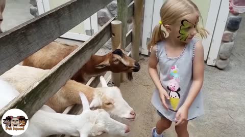 Animals Trolling Kids At