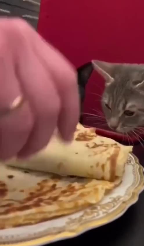 No one likes a tease 😂😂😂😂