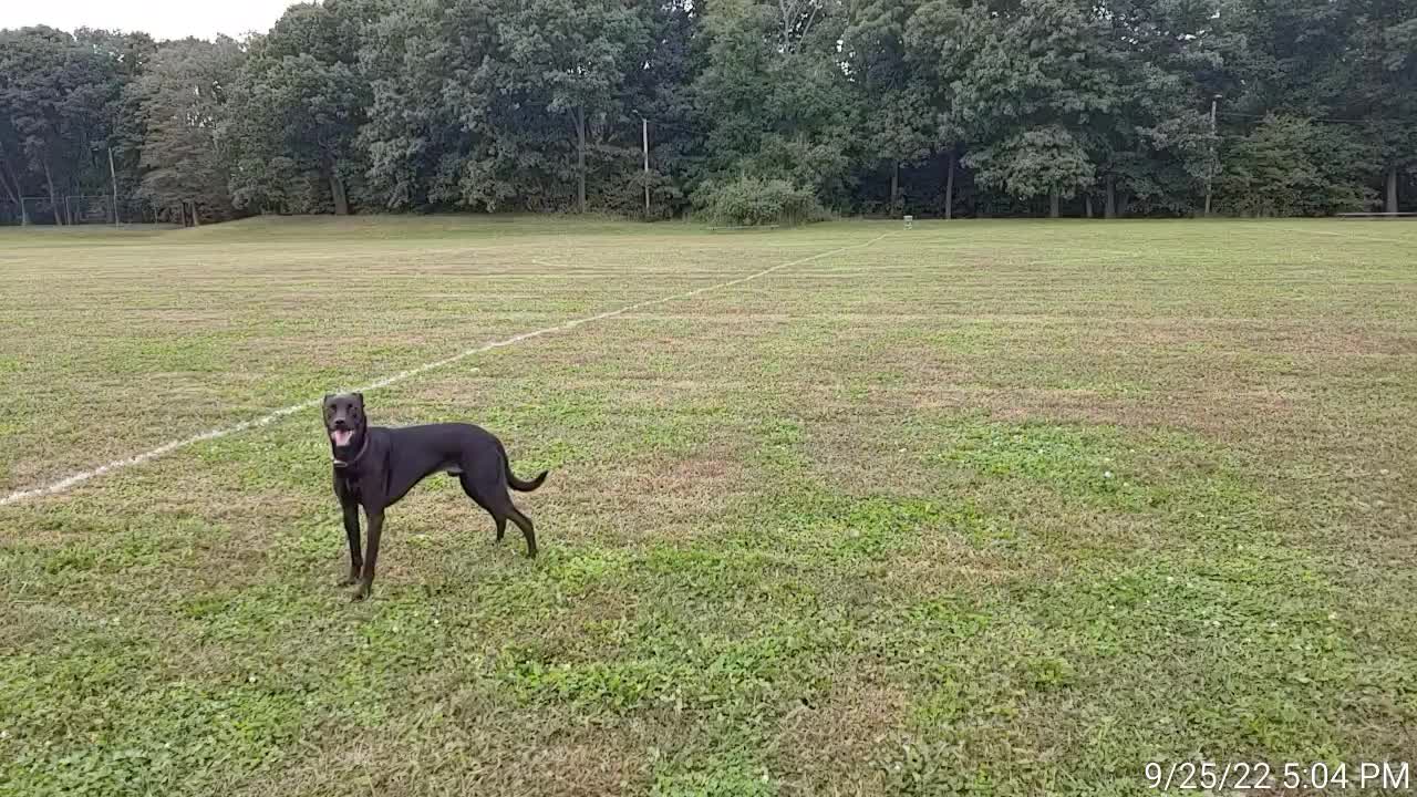 Bodhi Boy Play Time ⚡