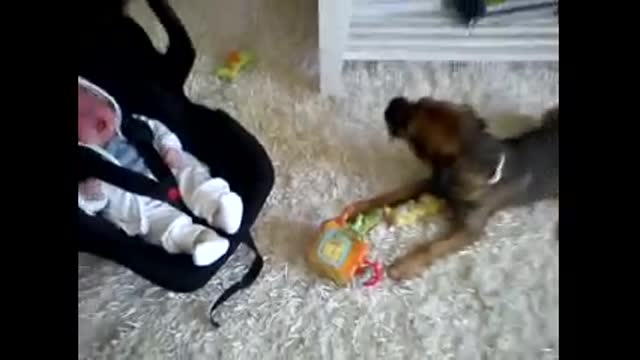 The dog is start weaping when the baby weap