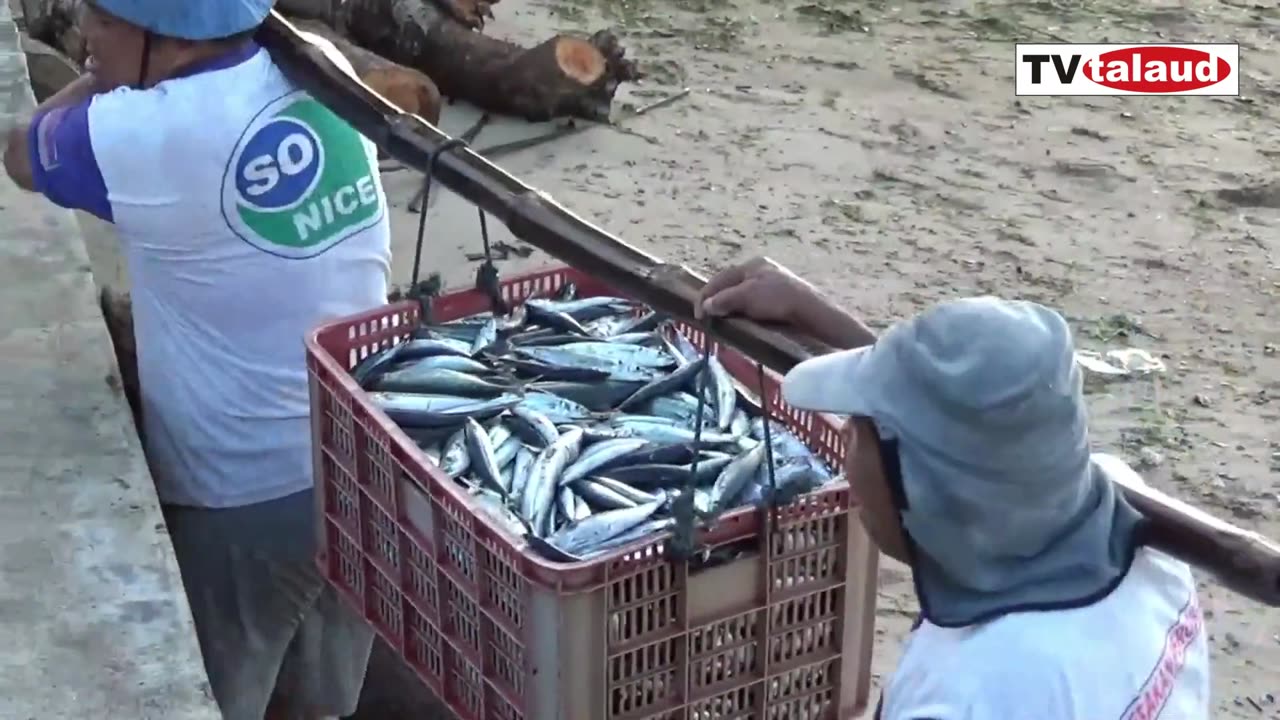 Buying Fish FRESH From The Sea