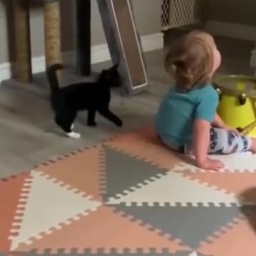 Kittens & Pups-Cutest 2021-Try not to Laugh 9