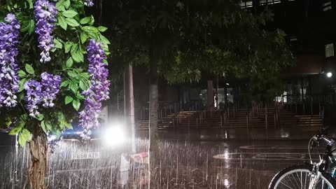 Unique scenery in rainy weather.