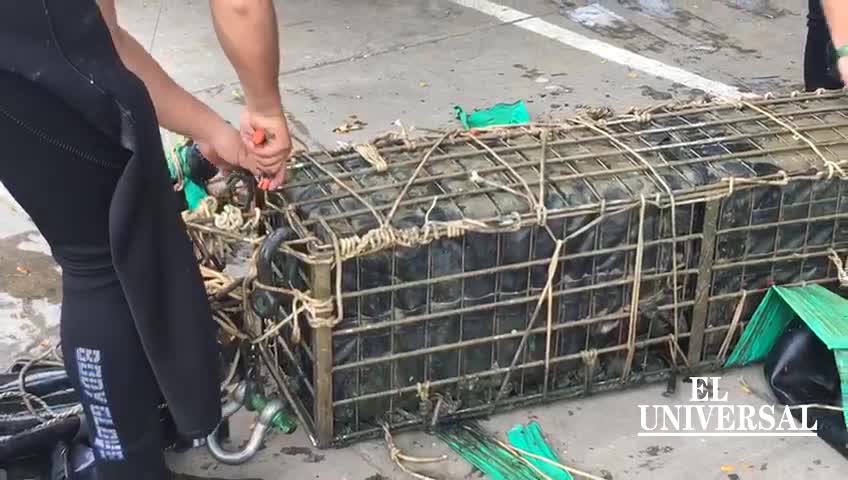 Hallan cocaína oculta en el fondo del mar