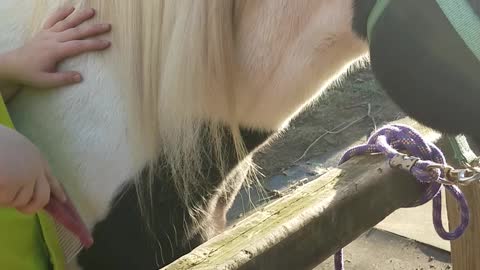 Indy being goofy