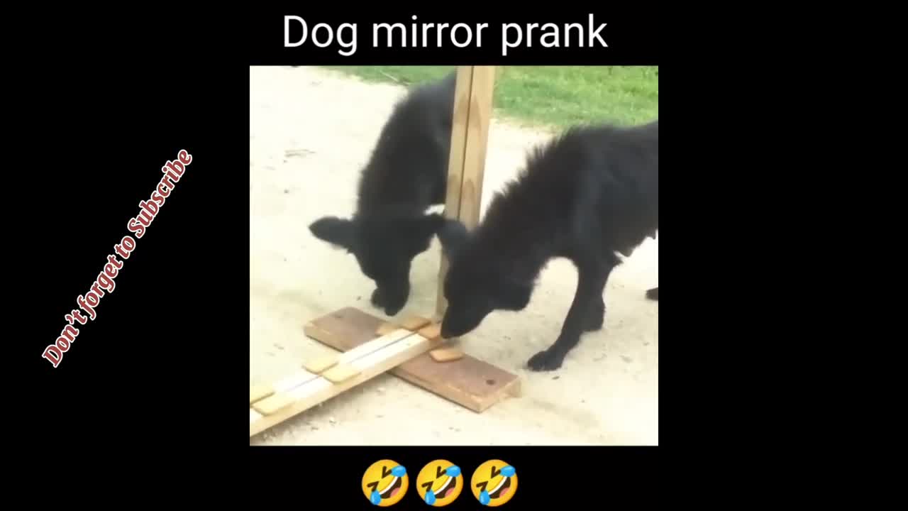 Hahahahaha 😂😁🤣 Very funny Video