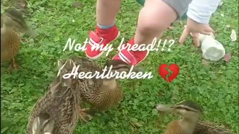 Funny Kids and Animals #6