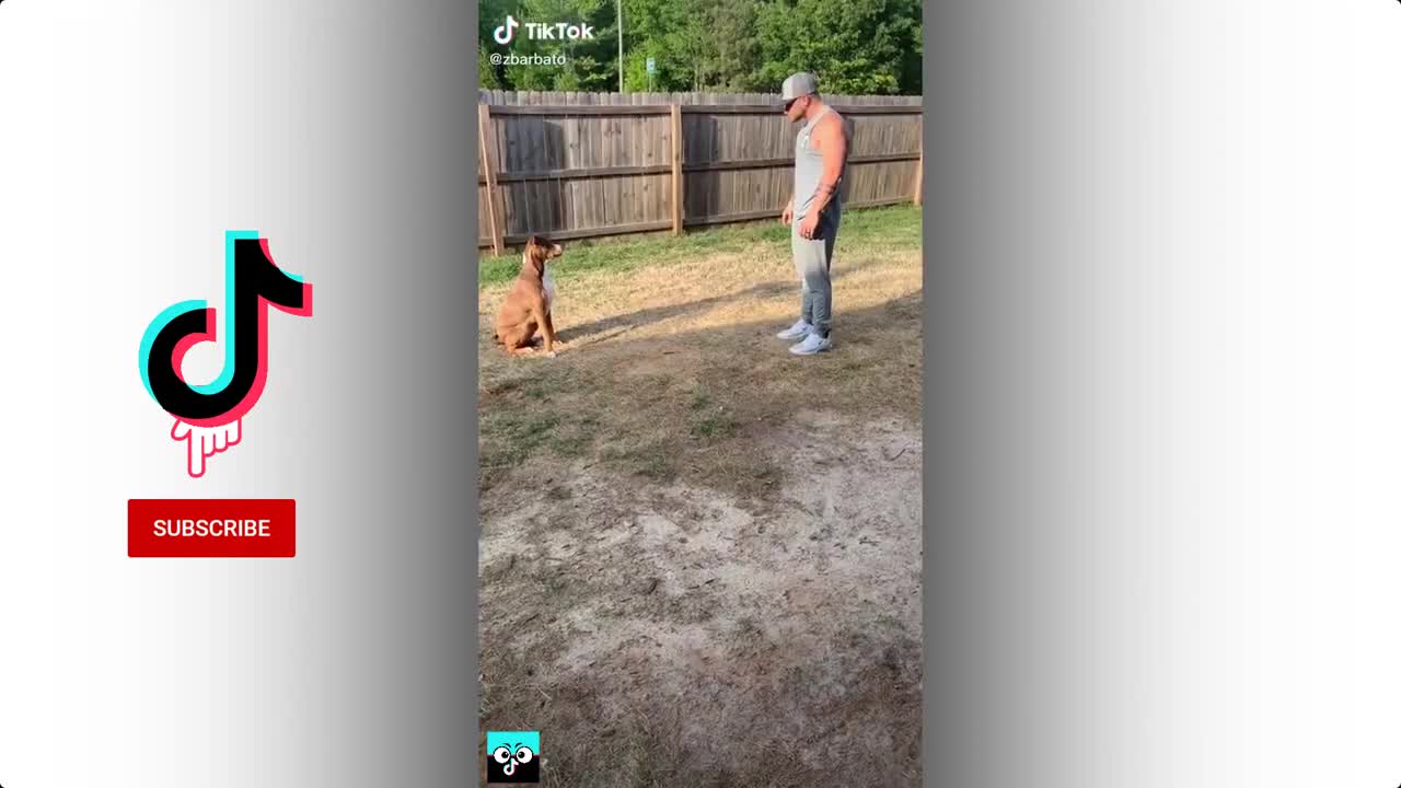 Top 10 funniest tiktok video