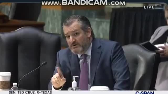 Ted Cruz: Biden-Harris admin have caused the worst foreign policy disaster in a generation