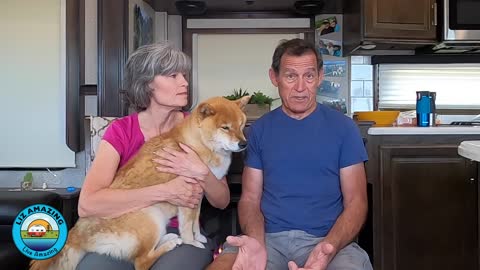 Traveling with your Dog in a RV!