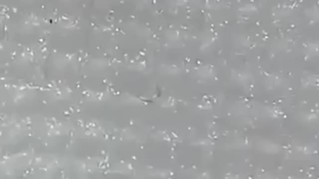 Černá vlákna pozorovaná v respirátoru / roušce 8