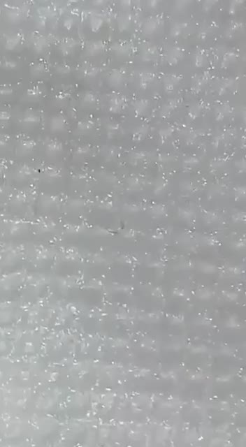 Černá vlákna pozorovaná v respirátoru / roušce 8