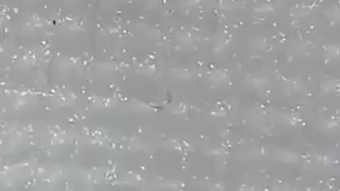 Černá vlákna pozorovaná v respirátoru / roušce 8