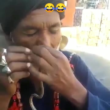 Gosh, what is this ? whimsical