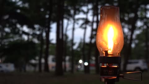 Pine trees and red lanterns 2