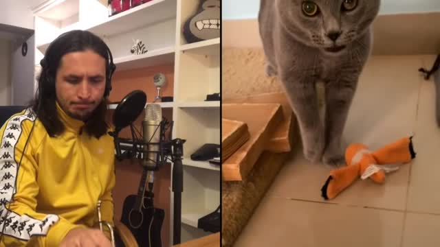 Amazing Cat Sing and get the Key.