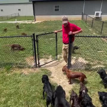 Nice to know Your Name!