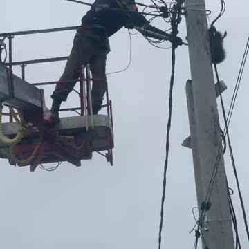 A city council worker in Novorossiysk, Russia, saves the life of a raccoon