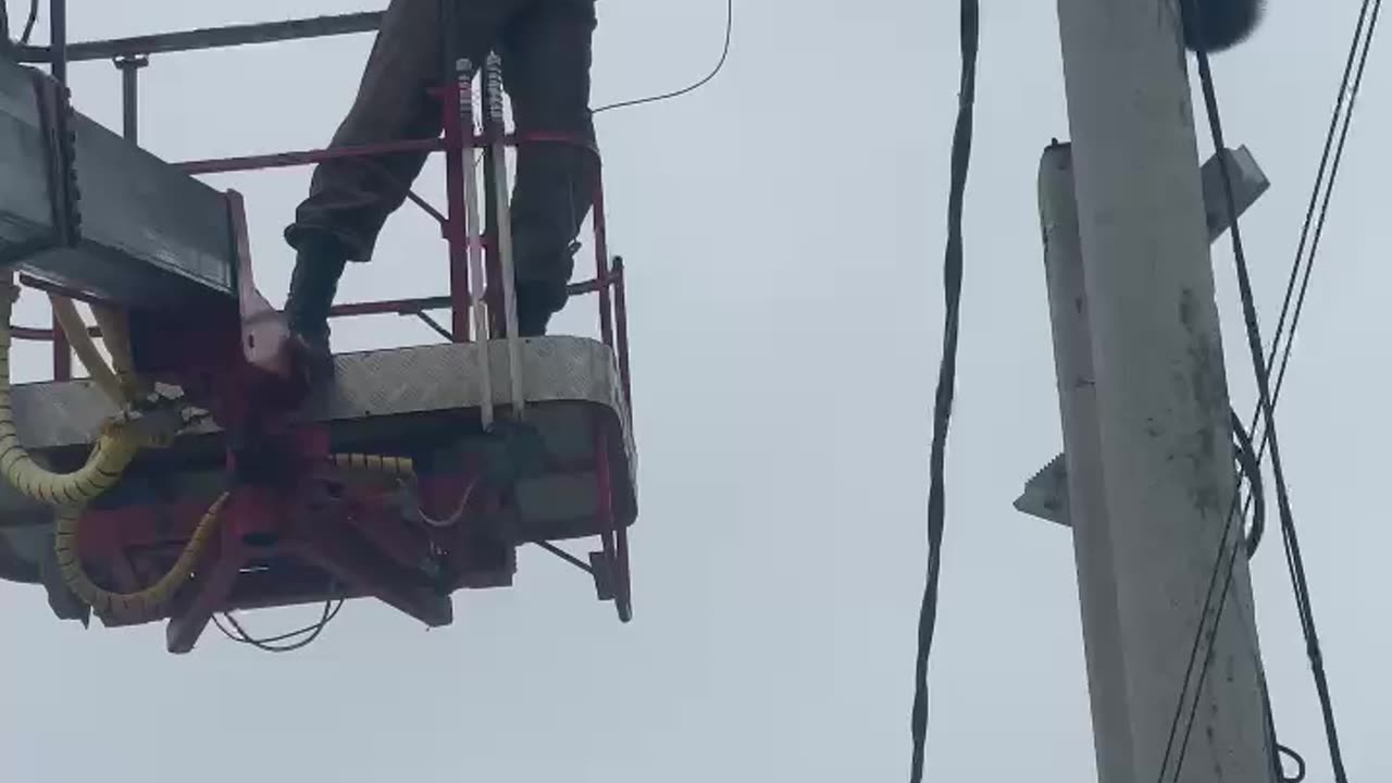 A city council worker in Novorossiysk, Russia, saves the life of a raccoon