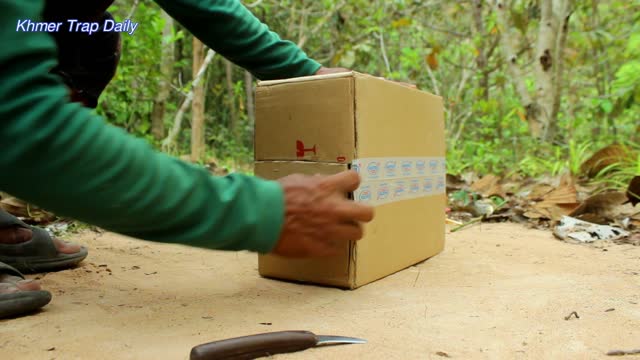 Build Easy Wild Cat Trap From Cardboard | Technique