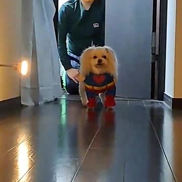 guess what's coming?