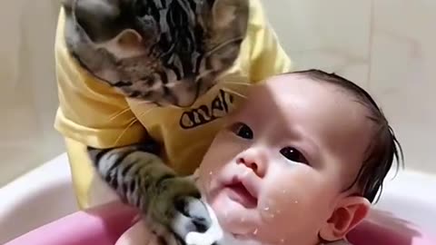 Baby Showring With Cat Best Funny Video