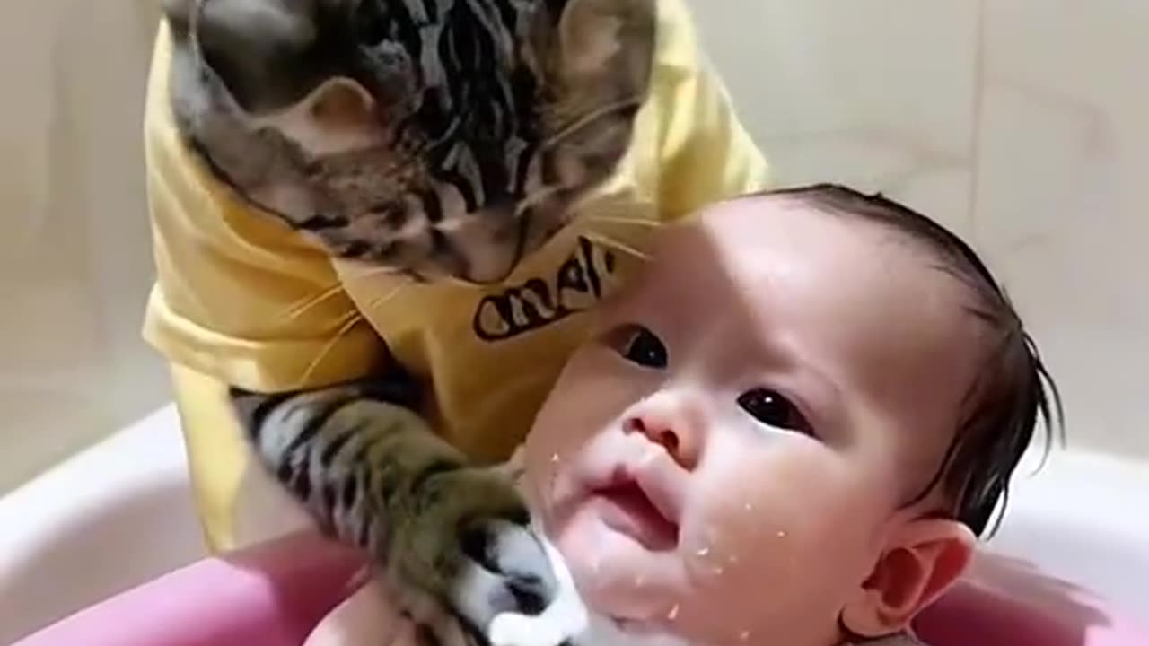 Baby Showring With Cat Best Funny Video