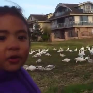 Unusual-appearing chickens - Memes For You #Shorts